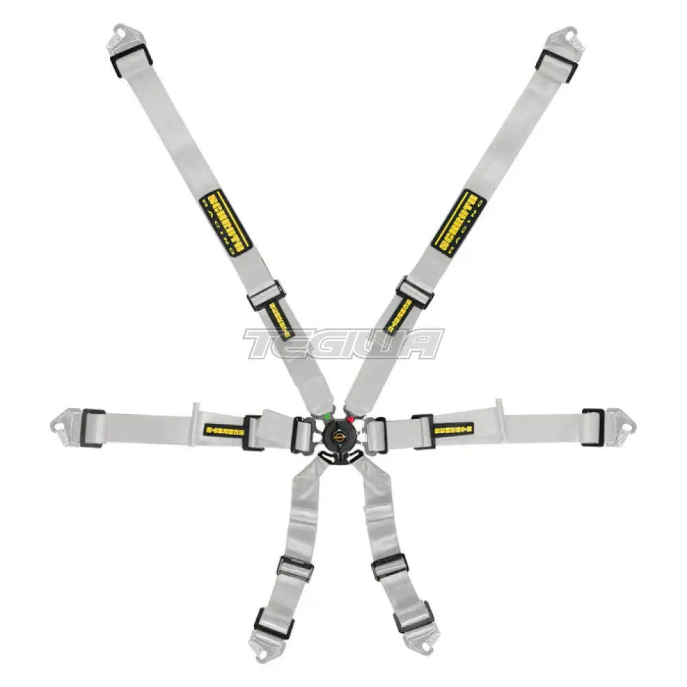 Schroth FHR 6 Point Flexi Harness in silver, a racing car safety harness with six adjustable points for secure restraint.