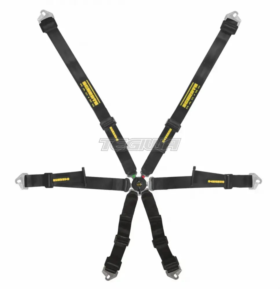 Black Schroth FHR 6-Point 2x2 Profi Harness for racing safety, featuring durable straps and quick-release buckles.