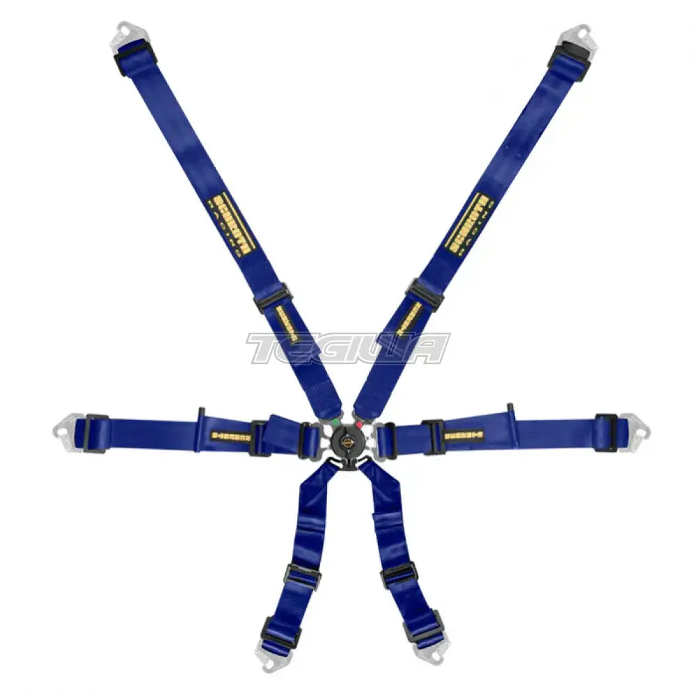 Blue Schroth FHR 6 Point Flexi Harness for racing safety, featuring adjustable straps and quick-release buckles.